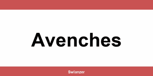 Kontakt Planzer in Avenches