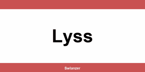 Kontakt Planzer in Lyss